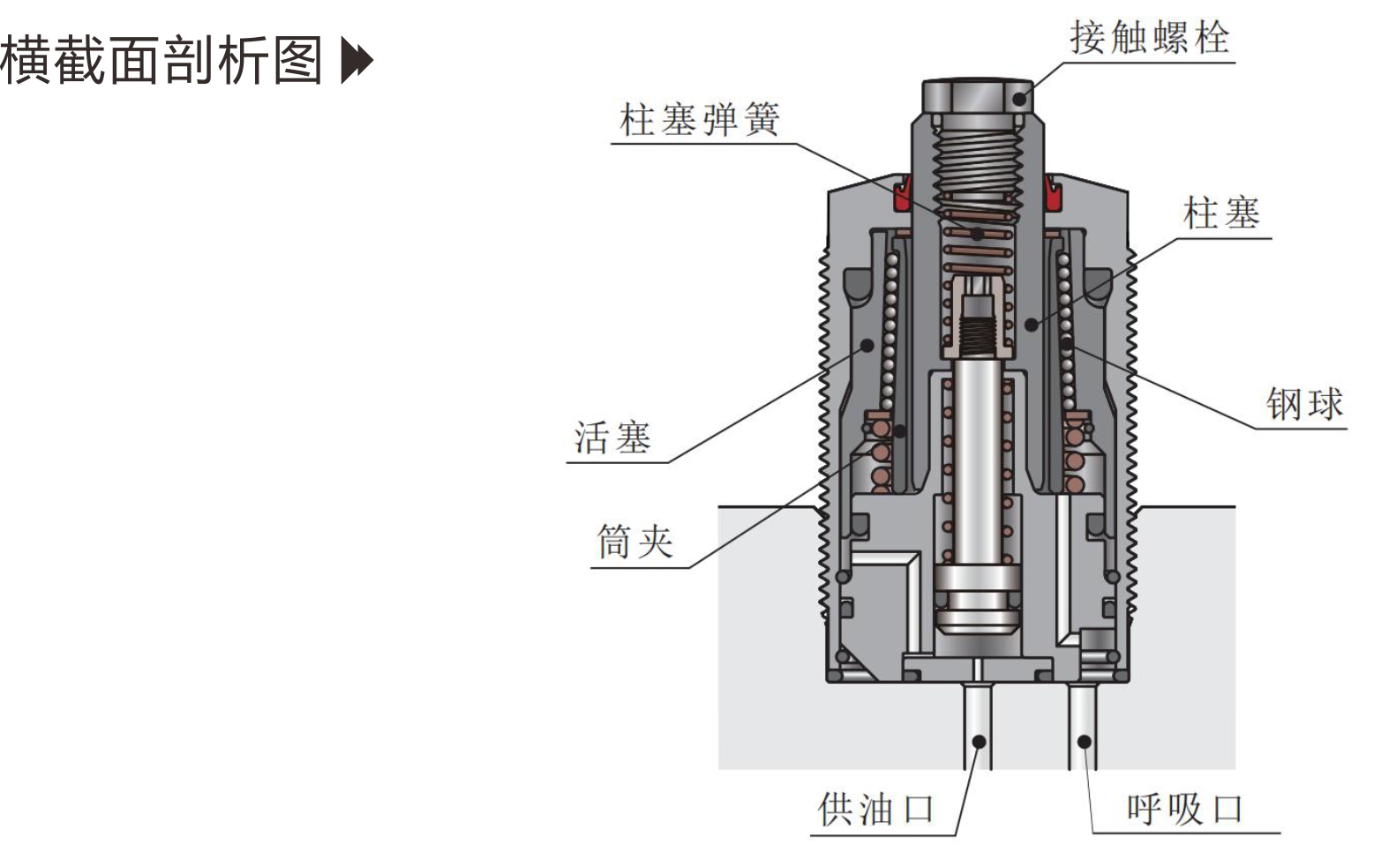 事德拿新画册GSC-2.jpg