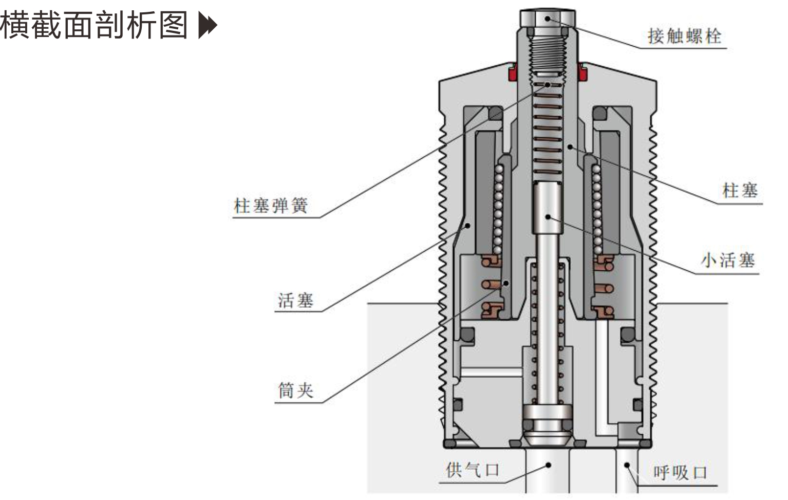 事德拿新画册TNL-2.jpg
