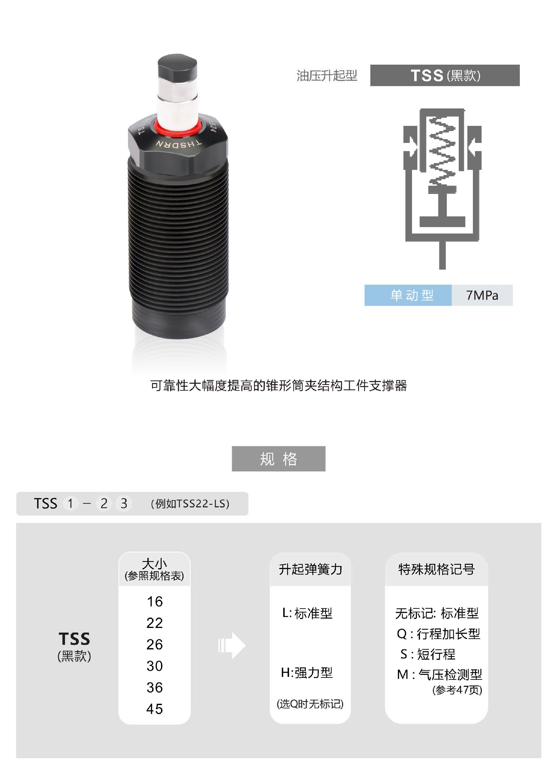 TSS黑-1.jpg