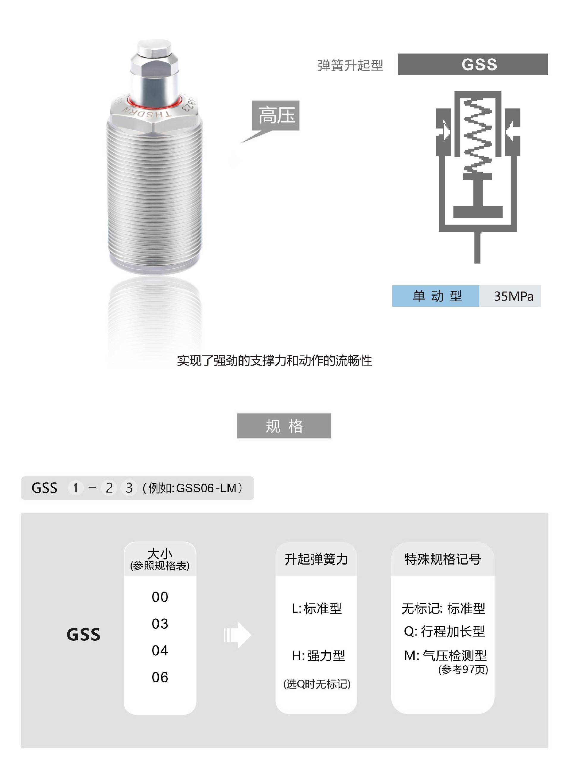 GSS-1.jpg